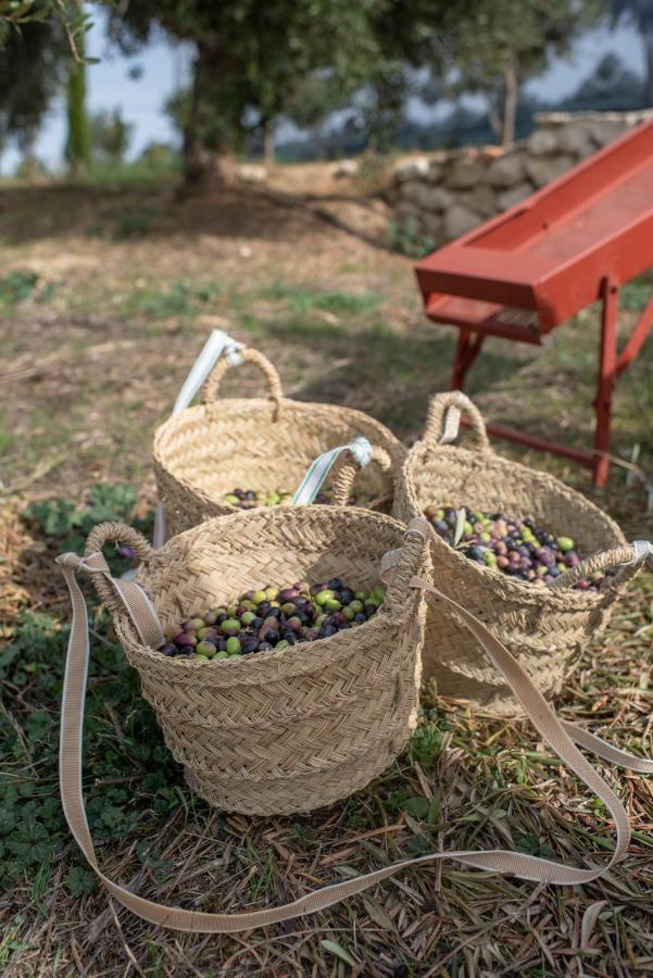מלון רונדה Cortijo La Organic מראה חיצוני תמונה