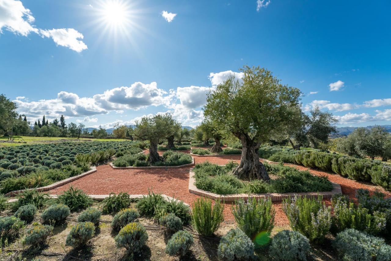 מלון רונדה Cortijo La Organic מראה חיצוני תמונה