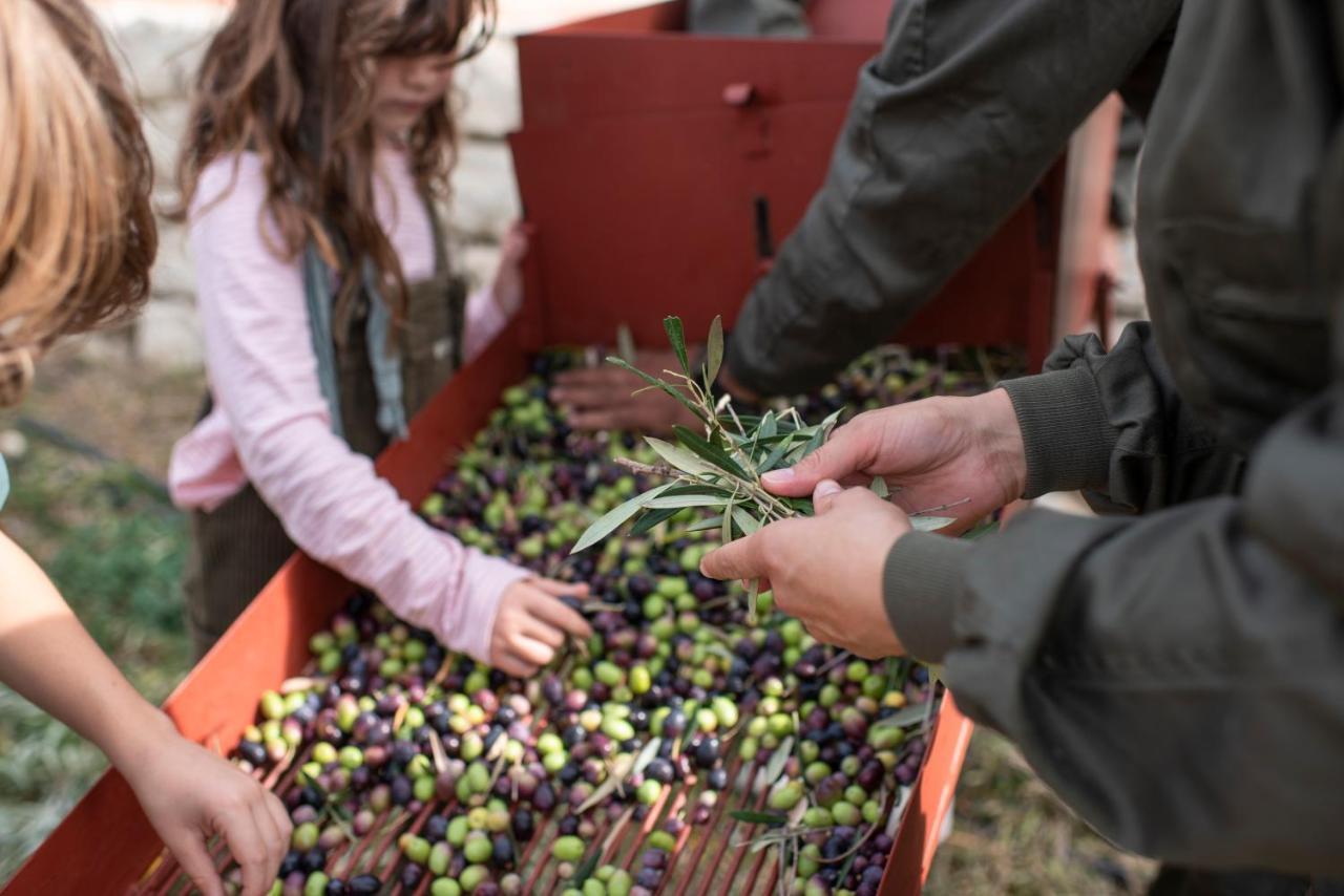 מלון רונדה Cortijo La Organic מראה חיצוני תמונה